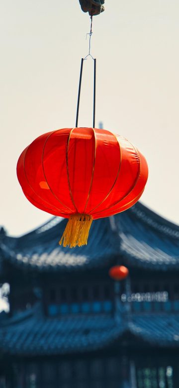 手机竖屏截图：阵容速查页输入了核心卡与两件装备，下方反推出三条成型路线，每条路线列出所需英雄与转职条件